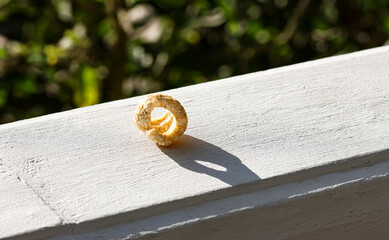A pork rind (in Spanish: Chicharrones) made of pork skin