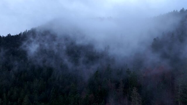 Aerial ascending in fast moving clouds over dark forest in 4K