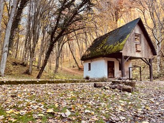Fototapeta na wymiar Little house in the woods