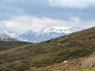 Naklejka premium Corse