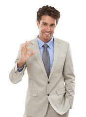 Portrait, happiness and business man ok sign for job well done, motivation feedback or voting opinion. Okay emoji icon, perfect gesture or professional agent isolated on transparent, png background