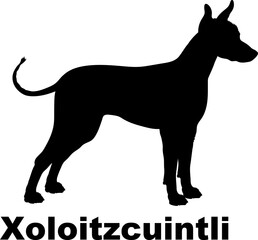 Xoloitzcuintli Dog silhouette dog breeds logo dog monogram logo dog face vector