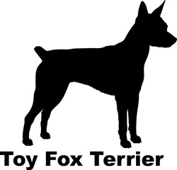 Toy Fox Terrier. Dog silhouette dog breeds logo dog monogram logo dog face vector