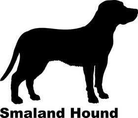 Smaland Hound Dog silhouette dog breeds logo dog monogram logo dog face vector