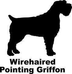 Wirehaired Pointing Griffon. Dog silhouette dog breeds logo dog monogram logo dog face vector