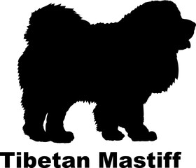 Tibetan Mastiff Dog silhouette dog breeds logo dog monogram logo dog face vector