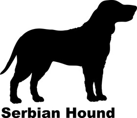 Serbian Hound Dog silhouette dog breeds logo dog monogram logo dog face vector