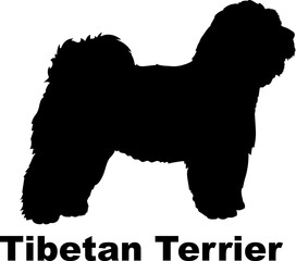 Tibetan Terrier Dog silhouette dog breeds logo dog monogram logo dog face vector