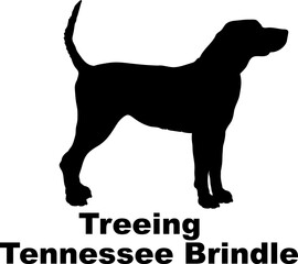 Treeing Tennessee Brindle Dog silhouette dog breeds logo dog monogram logo dog face vector