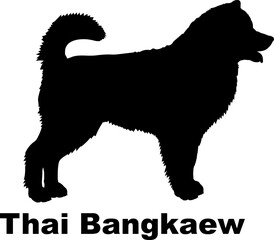 Thai Bangkaew Dog silhouette dog breeds logo dog monogram logo dog face vector