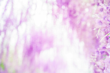 Fantasy wisteria flower sea background material
