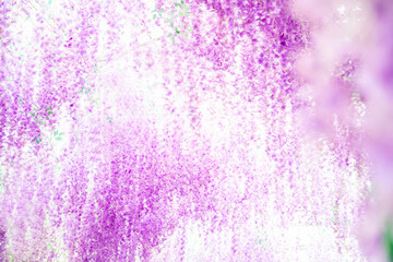 Fantasy wisteria flower sea background material