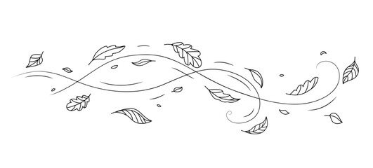 Wind air motion and doodle leaf isolated vector sketchy swirl. Whimsical hand drawn leaves pirouette in the breeze, dance in the gentle caress of playful air motion. Serene symphony of nature artistry © Buch&Bee