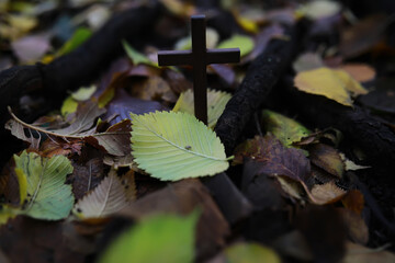 The cross of God in the rays of the sun. Background of religions