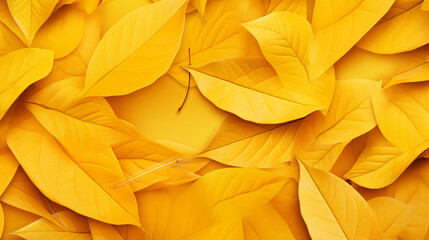 Yellow autumn leaves on background