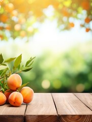 Wooden table top with apricots on blur background with apricot orchard