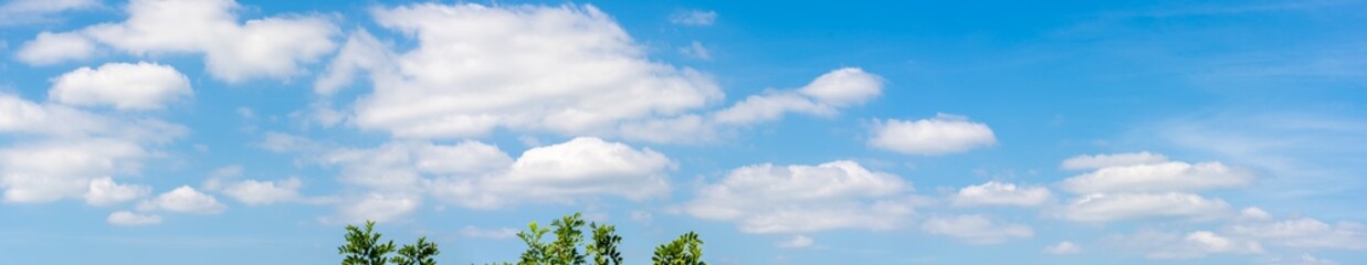 Sky and cloud of panorama view background