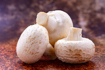Fresh whole mushrooms isolated