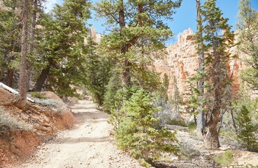 Hiking the Peekaboo Loop Trail in Bryce Canyon National Park