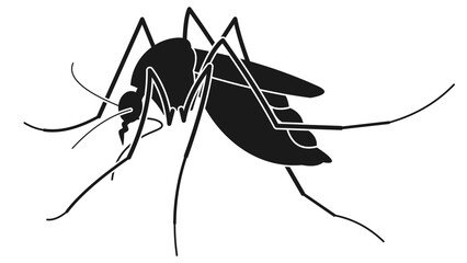 mosquito vector design isolated on white background.