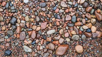 Nature’s Mosaic: Wet Multicolored Pebbles
