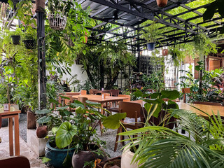 Organic cafe filled in with the hanging plants