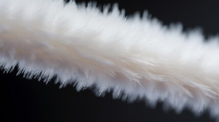 A close-up of a single cotton swab with a textured surface, bathed in soft, natural light.