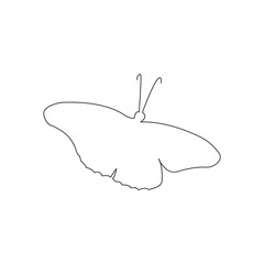 
Continuous one line  butterfly flying outline art drawing