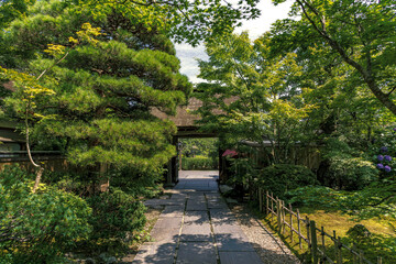宮城松島 円通院 夏の参道風景