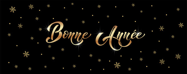Bonee Annee and Joyeux noel. Merry Christmas card template with greetings in French.