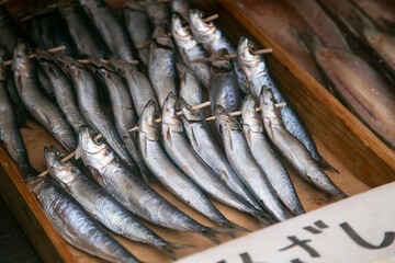 Obraz premium Ito, Japan; 1st October 2023: Fish at a Dried Fish shop in Ito City, Shizuoka, Japan.