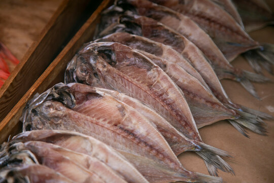 Ito, Japan; 1st October 2023: Fish at a Dried Fish shop in Ito City, Shizuoka, Japan.