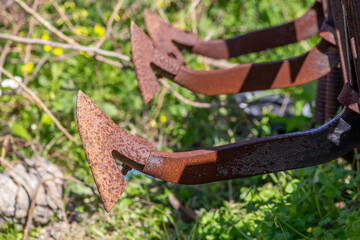 Old grubber with green background.
