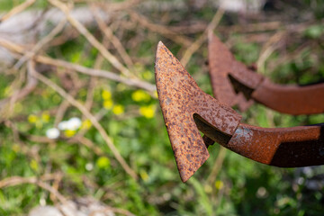 Old grubber with green background.