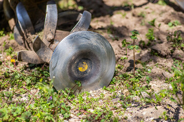 Old grubber with green background.