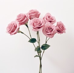 Obraz premium a bouquet of small pink roses on a white background