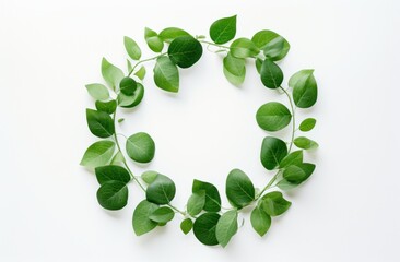 round circular arrangement of green leaves