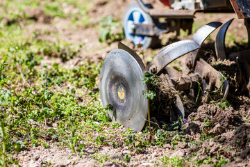 Old grubber with green background.