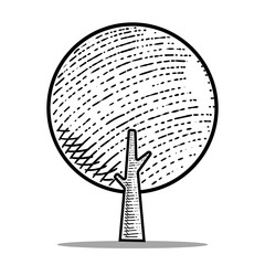 tree vector engraving style hand drawn black and white