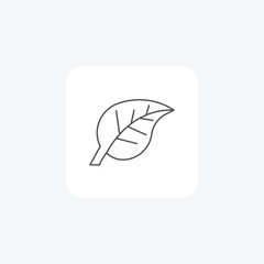 Leaf, Foliage, Plant, Nature, thin line icon, grey outline icon, pixel perfect icon