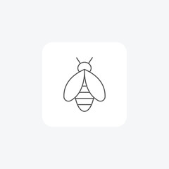 Bee, Pollinator, Insect, Honeybee,  thin line icon, grey outline icon, pixel perfect icon