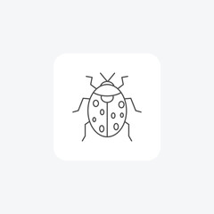 Ladybug, Beetle, Insect, Garden Protector,  thin line icon, grey outline icon, pixel perfect icon
