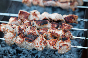 Cooking barbecue pork meat on smoking coals. Shish kebab on the grill.