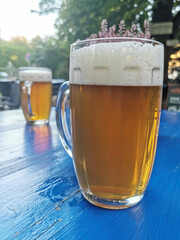 fresh czech beer
