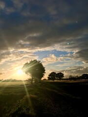 sunset over the field