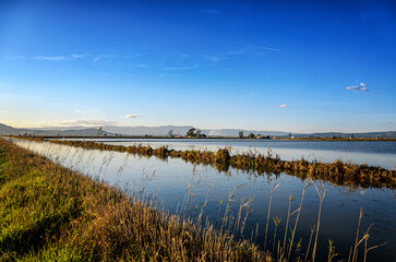 The Ebro Delta is a big wetland area and a unique natural region located in Spain.