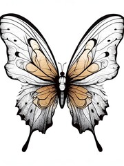butterfly on white background