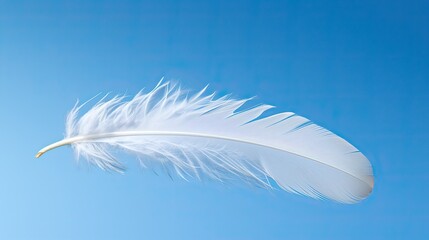 Fototapeta premium Close up white feather on blue background