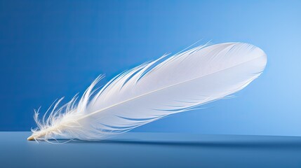 Close up white feather on blue background - obrazy, fototapety, plakaty