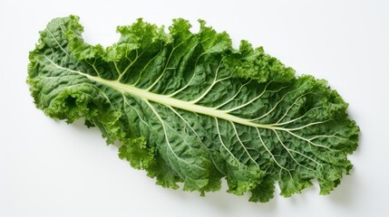 Fototapeta premium Fresh vegetables for health concept, Kale leaf on white background 